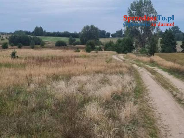 Sprzedam działkę 2,65 ha