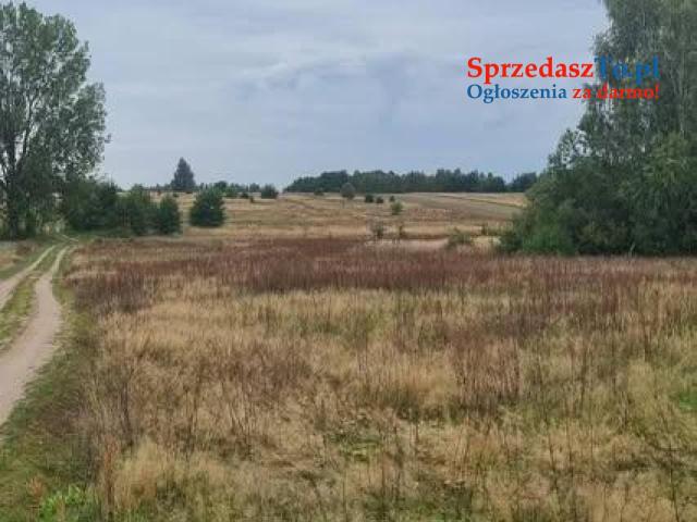Sprzedam działkę 2,65 ha