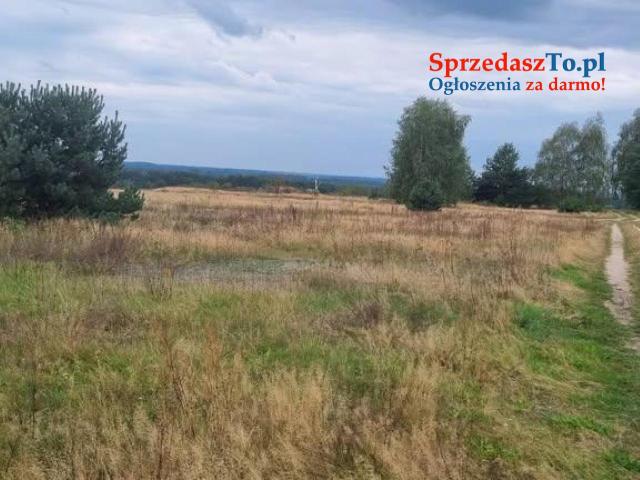 Sprzedam działkę 2,65 ha - 6