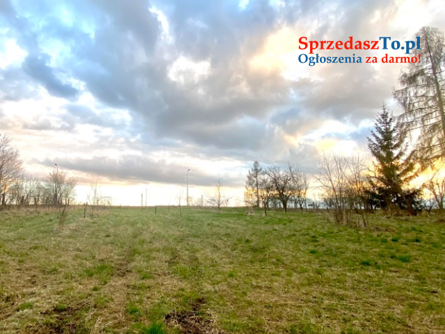 Działka z zabudowaniami domem wolnostojącym