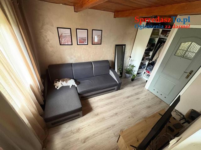 Działka ROD rekreacyjna - 7