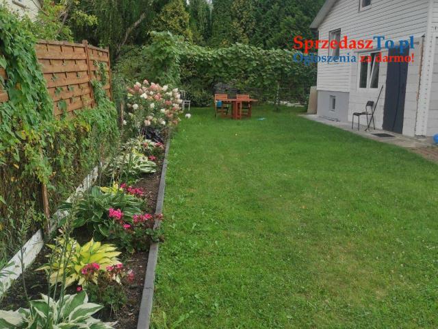 Działka ROD rekreacyjna - 12