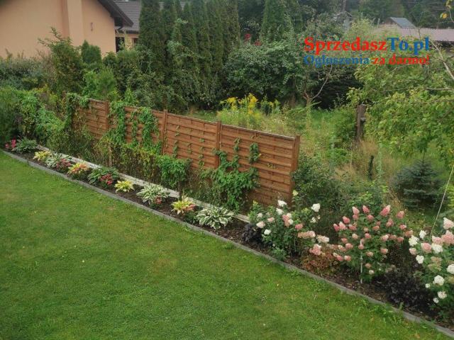 Działka ROD rekreacyjna - 13