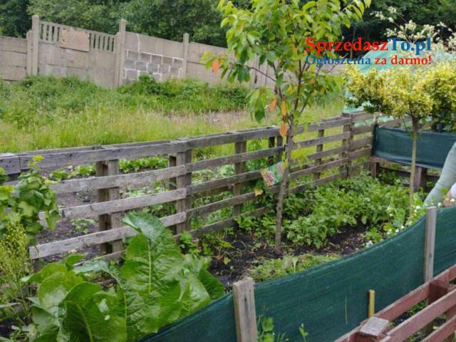 Mieszkanie na sprzedaż - 9