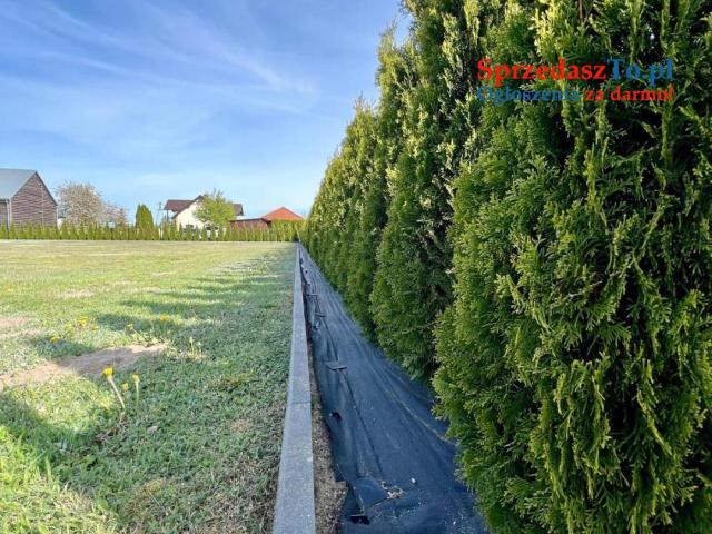 Działka Budowlana Malachin - 6