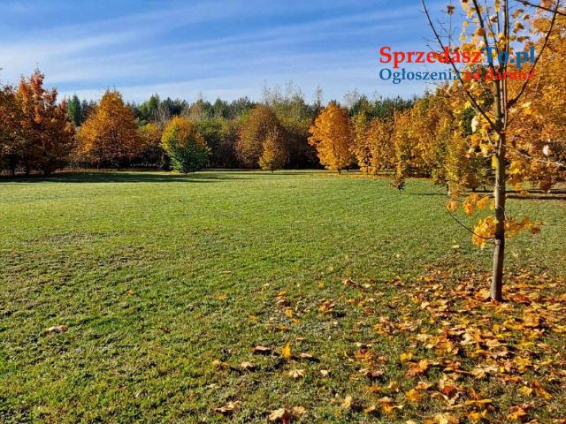 Nowy Dom parterowy piękna Działka - 16