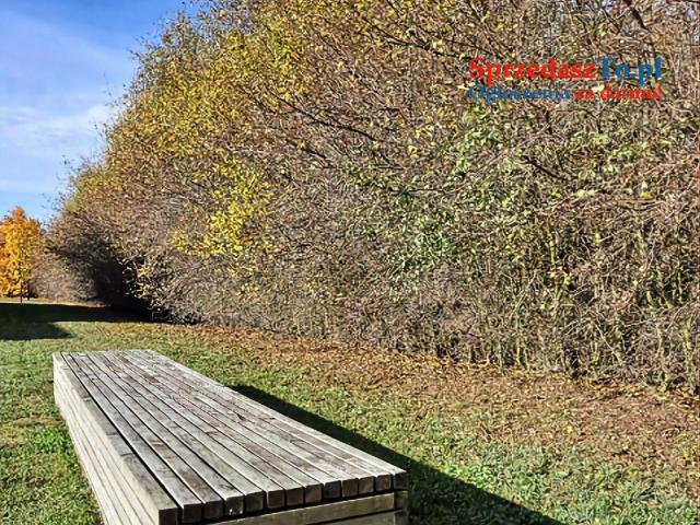 Nowy Dom parterowy piękna Działka - 17