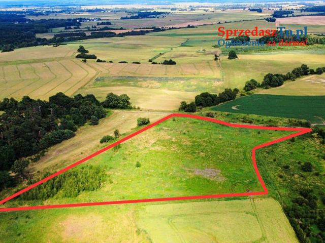 Działka Rolna Toszowice - 6