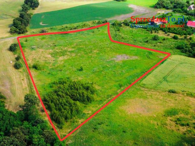 Działka Rolna Toszowice - 7
