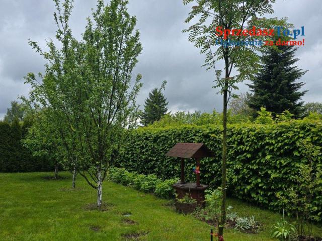 Dzialka rod rekreacyjna tarnów mościce - 10