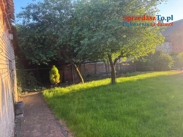 Sprzedam mały domek z dużym ogrodem - 10