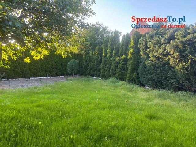 Sprzedam mały domek z dużym ogrodem - 12