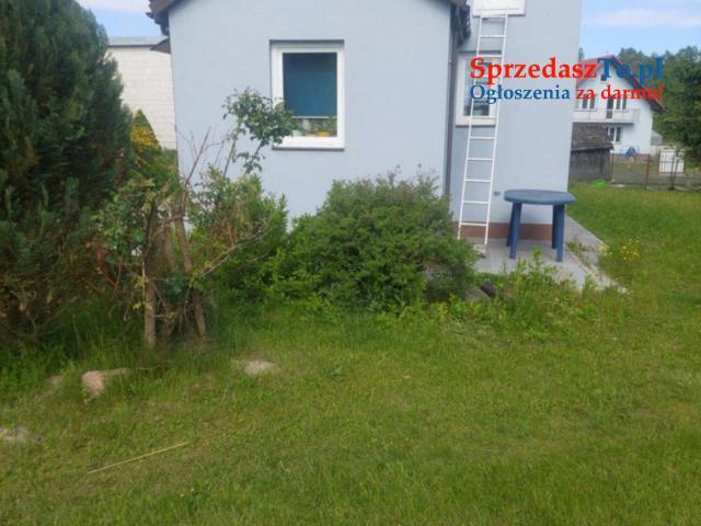 Dwa domy z działką 40 arów - 7