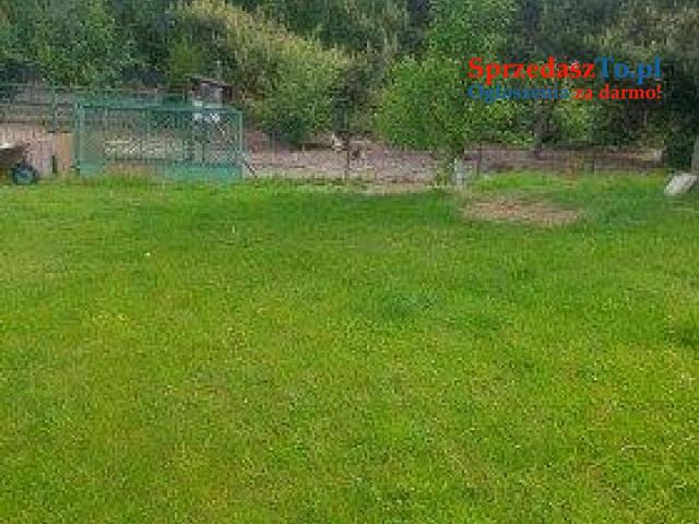 Dwa domy z działką 40 arów - 9