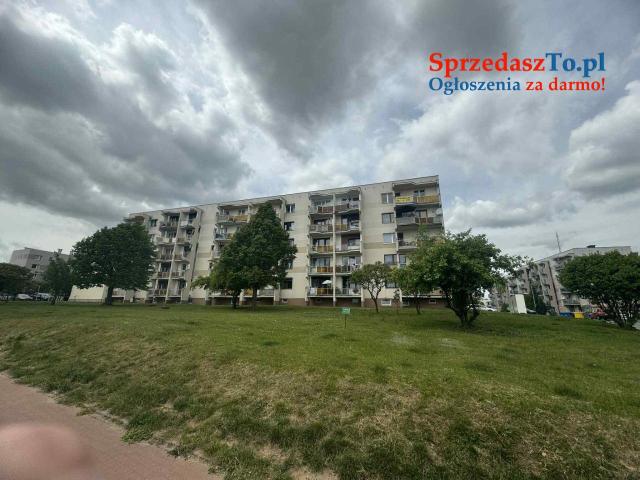 Mieszkanie