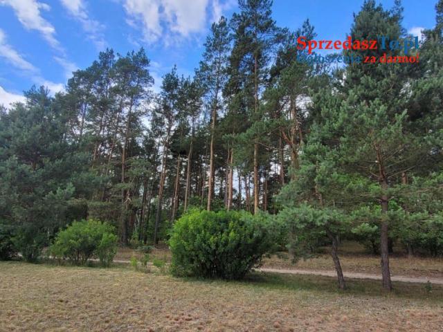 Działki budowlane na sprzedaż - 11