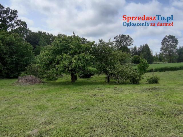 Chata na Mazurach - 6