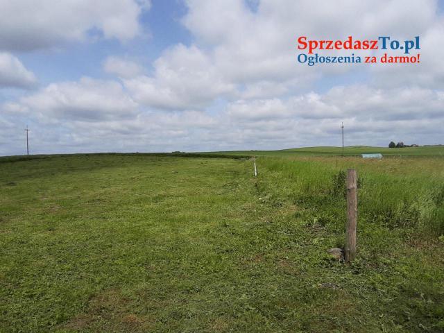 Chata na Mazurach - 8