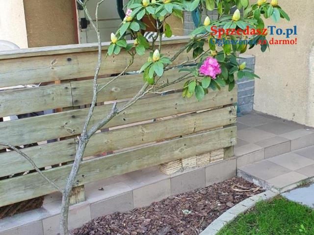 Działka ROD - Kanie - 7