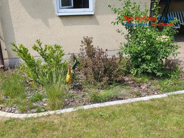 Działka ROD - Kanie - 8