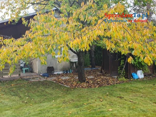 Działka ROD - Kanie - 11