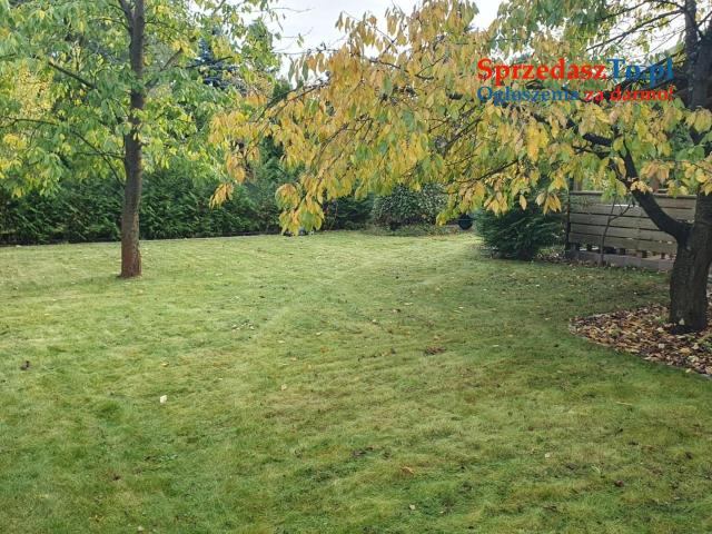 Działka ROD - Kanie - 12