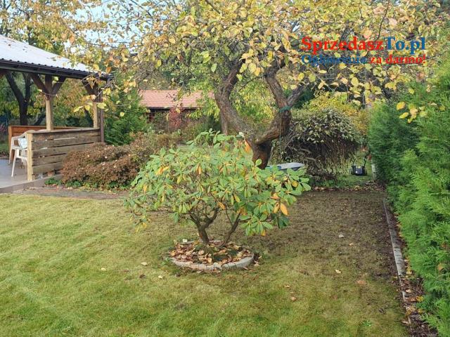 Działka ROD - Kanie - 14