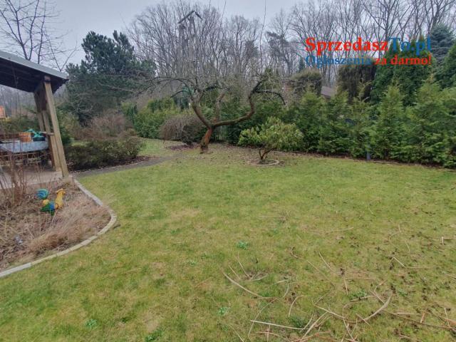 Działka ROD - Kanie - 17