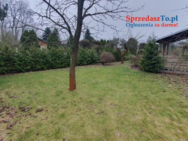 Działka ROD - Kanie - 18