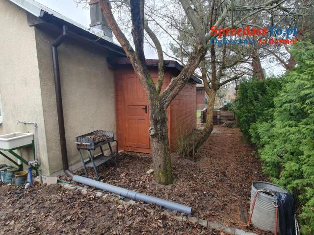 Działka ROD - Kanie - 19