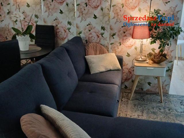 kawalerka 2 pokojowa z ogródkiem - 9