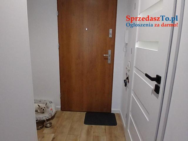 kawalerka 2 pokojowa z ogródkiem - 15