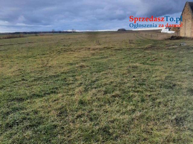 Piękna duża działka 7700m2 Nowa Wola