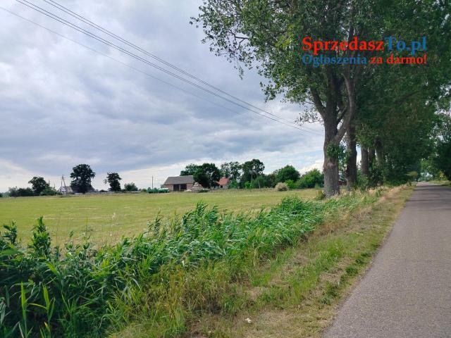 0.54 ha Głuchowo woj.lubuskie - Berlin -116 km Park Narodowy -6 km
