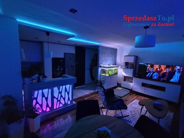Mieszkanie dwupokojowe 51 m ²