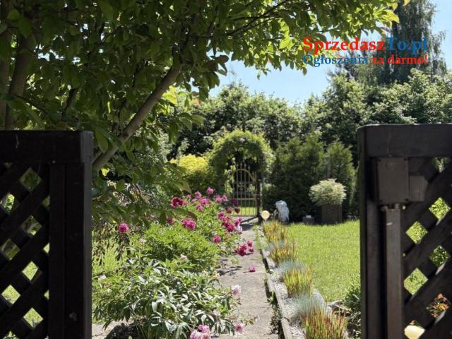 Sprzedam działkę ROD - 7