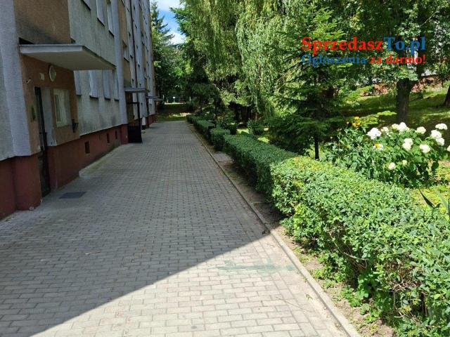 Na sprzedaż 3 pokojowe mieszkanie z balkonem przy ul.Koseły w Sandomierzu - 12