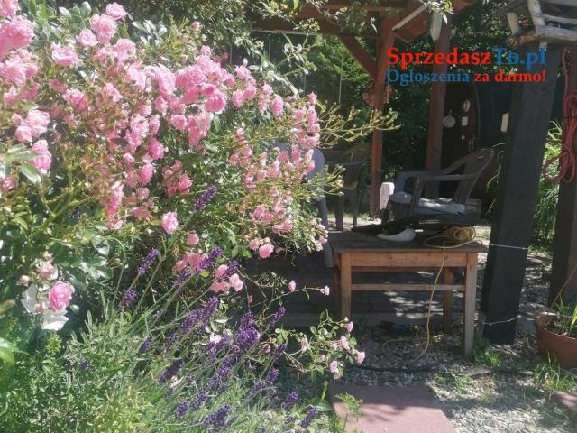 Sprzedam dom z usługą noclegową w Szczyrku obok aqua spa - 8