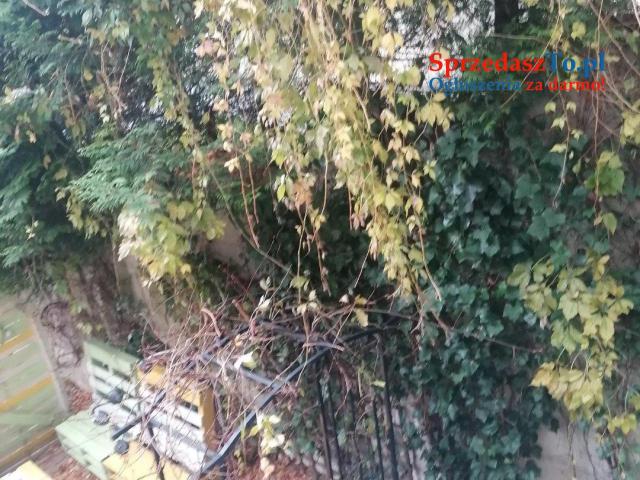 Sprzedam dom z usługą noclegową w Szczyrku obok aqua spa - 17