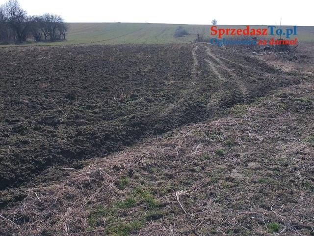 Sprzedam siedlisko - 11