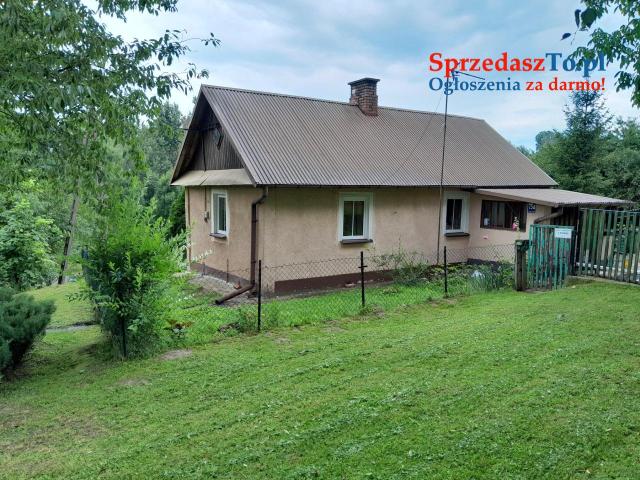 Urokliwe Siedlisko na Wzgórzu pod Zamościem 20ar dom media cisza spokój - 6