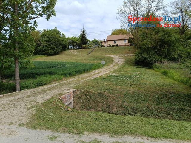 Urokliwe Siedlisko na Wzgórzu pod Zamościem 20ar dom media cisza spokój - 10