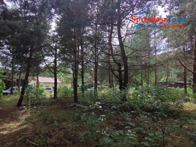 Działka rekreacyjno/mieszkaniowa w otulinie lasu - 8