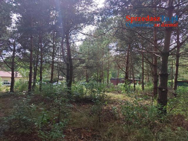 Działka rekreacyjno/mieszkaniowa w otulinie lasu - 9