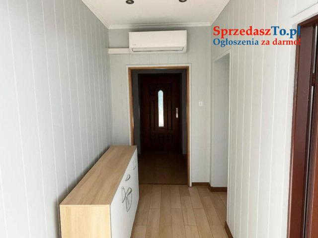 Wynajem od Sierpnia