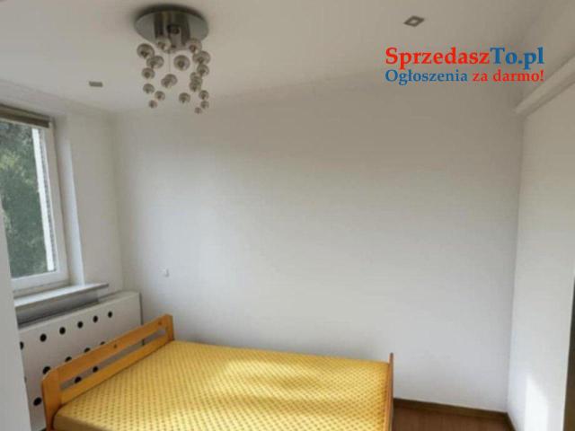 Wynajem od Sierpnia - 10