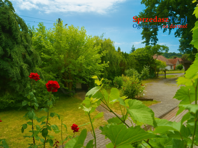 Stylowy dom z ogrodem w spokojnej okolicy - 12