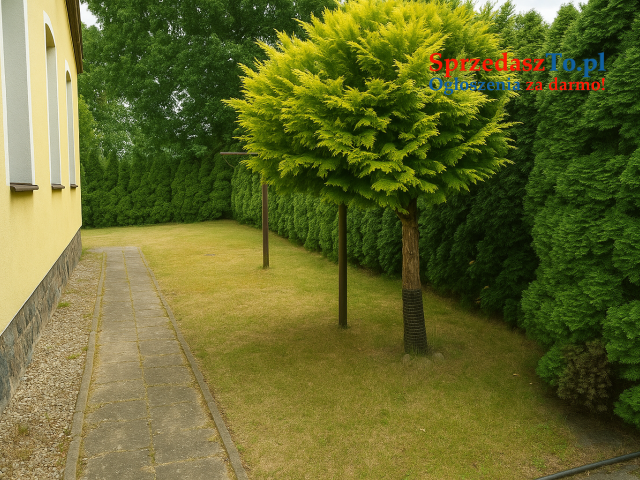 Stylowy dom z ogrodem w spokojnej okolicy - 18