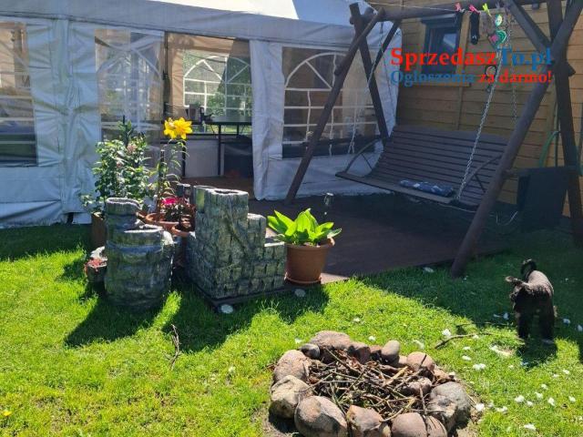 Sprzedam prawa do działki ROD - 6