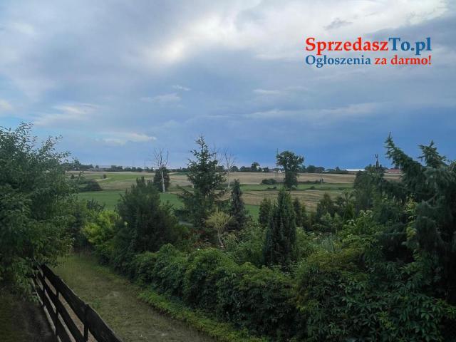 Działka ROD